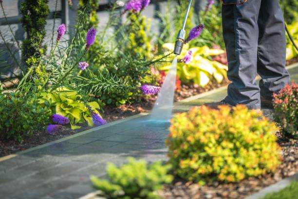 Best Residential Pressure Washing in Mars Hill, NC